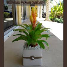 We did not find results for: Tamara S Flower Garden Posts Facebook
