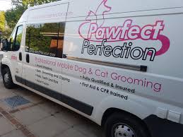(show more) (show less) show more. Pawfect Perfection Dog Cat Groomers St Leonards On Sea