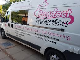 Are you looking for dog and cat grooming services near you? Pawfect Perfection Dog Cat Groomers St Leonards On Sea