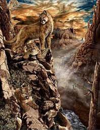 عادل علي بن علي على تويتر كم أسد في الصورة