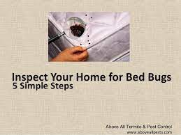 To stay bed bug free, you need to learn how to avoid buggy situations, reduce your risk of picking up new hitchhikers, and prevent bed bugs from making. 5 Tips To Determine If You Have Bed Bugs New Jersey Pest Control Com