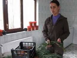 Păstrăvul afumat, învelit în crenguţe de brad, a luat ochii cumpărătorilor care au venit în piaţa sfatului. Cultural Local Cobzele Cu Pastrav Afumat Din Bucovina Monitorul De Suceava SambÄtÄ 19 Aprilie 2008