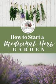 How To Start A Medicinal Herb Garden Amy K Fewell In 2020 Medicinal Herbs Garden Medicinal Herbs Small Herb Gardens