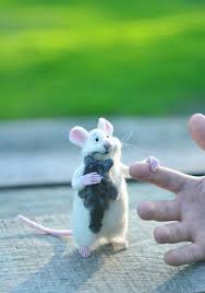 Pin By Darya Step On Vegyes In 2020 Felt Mouse Pet Mice Kitten
