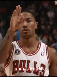 The Cat Started Speaking Human Derreck Rose Edit