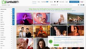 What is CamRabbit? - Live Sex Cam Website - Review 2025