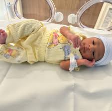 Image result for Marquesia