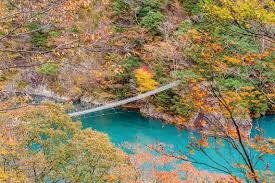 秋は奥大井で紅葉と温泉三昧 カップルにオススメの1泊2日モデルコース 大井川で逢いましょう
