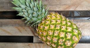 Comment Faire Pousser Un Ananas A La Maison Video In 2020