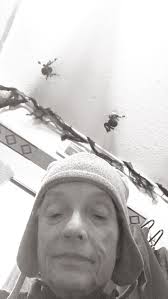 Are there handicap accessible apartments available in Blue Springs Missouri  for around $800?