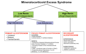 Maybe you would like to learn more about one of these? Hyperaldosteronism Endotext Ncbi Bookshelf