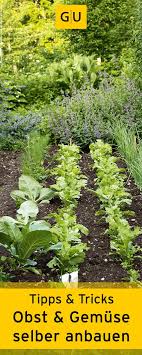 Lebensmittel Aus Dem Eigenen Garten Garten Garten Pflanzen Und Garten Bepflanzen