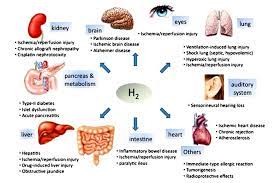 3 Hydrogen Water H2 Water Nano Bubbles
