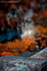 Related Image Picsart Background Blur Photo Background Blurred Background Photography