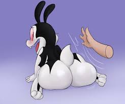Rule 34 Dev - anal anal_sex bunnicula_(character) cat_tail celery  chester_(bunnicula) dablueguy feline gay male rabbit rabbit_ears text  vampire|3591356344