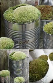 In a large bowl, combine yeast and sugar in the water; 50 Jaw Dropping Ideas For Upcycling Tin Cans Into Beautiful Household Items Diy Crafts