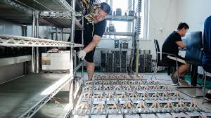 Our sales staff are trained and experienced to help you get the equipment you're looking for as fast as possible. Ryan Xu Bitcoin Pre Built Bitcoin Mining Rig For Sale