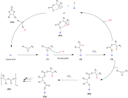 They cover the fields of dispute resolution, corporate law, corporate. Co2 Fixation Into Cyclic And Polymeric Carbonates Principles And Applications Green Chemistry Rsc Publishing
