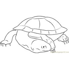 Import matplotlib.pyplot as plt from mpl_toolkits.axes_grid1 import make_axes_locatable import. Spine Coloring Pages For Kids Download Spine Printable Coloring Pages Coloringpages101 Com