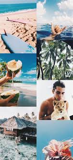 Free for commercial use high quality images Summer Aesthetics Hang Ten Magicmatriarch Iphone X Wallpapers Free Download