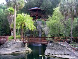 Cedar Lakes Woods Gardens In Williston Florida Simple Sojourner Garden In The Woods Williston Florida Travel Usa