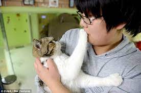 Why Does My Cat Put His Paw On My Face When I Hold Him Poc