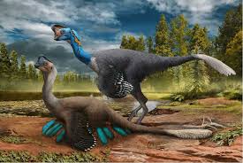 If your child loves dinosaurs, this dino dig activity will be a big hit. Frozen In Time Scientists Find Rare Fossil Of Dinosaur Sitting On Eggs With Embryos Inside Cbc Radio