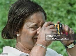 4 241 Michael Cam Stock Photos, High-Res Pictures, and Images