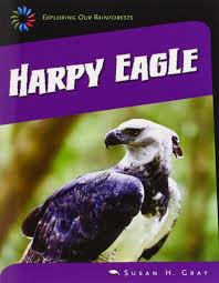 The Emergent Layer Is The Highest Layer Of A Rainforest It Consist Of A Few Trees That Stick Up Above The Canopy L Rainforest Creatures Rainforest Harpy Eagle