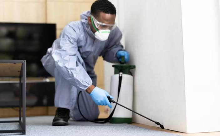 Acoustic detection equipment for locating deathwatch beetle activity