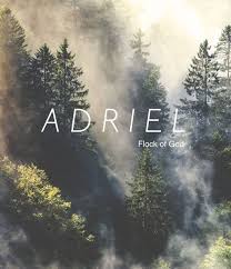 Adriel Name Meaning Flock Of God A Names Boy Names Names That Start With A Ttc Male Names Unique Boy Names Unisex Name New Baby Names Unique Boy Names