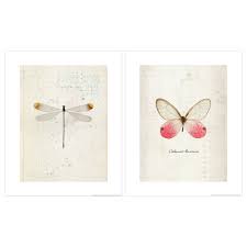 Ikea Nederland Interieur Online Bestellen Botanical Art Prints Picture Frame Wall Butterfly Wall Stickers