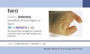 Fill your cart with color · we have everything · huge savings Mosby S Medical Terminology Flash Cards Ankiweb