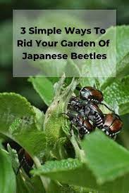 Pin On Lifestyle Living Diy S Tips Tricks Tutorials