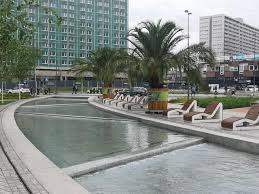 Katowice to bez dwóch zdań największy, a zarazem najdroższy, rynek nieruchomości na śląsku, oferujący obszerną bazę mieszkań, dostępnych w. Egzotyczne Katowice Na Rynek Wrocily Palmy Zdjecia Slask Super Express