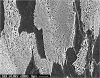 Image result
