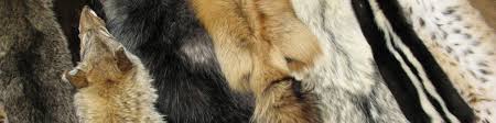 For animals lovers, and everyone's else. Tanned Hides Furs Animal Pelts And Skins For Sale By Hideandfur Com