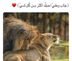 pin by nana on نوني calligraphy quotes love snapchat picture arabic love quotes