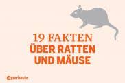 Hantavirus' is a family of viruses that spread by rodents. Hantavirus Alarm So Schutzen Sie Sich Vor Einer Infektion Agrarheute Com