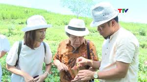 Đọc báo điện tử vietnamnet, cập nhật tin nhanh việt nam và thế giới. Sam Bao Ä'á»‡ Nháº¥t Danh Sam Ptth Thanh Hoa Youtube