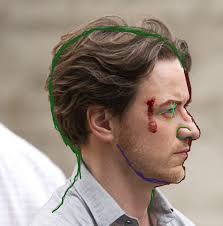 Hexiva's Tumblr — Facial Diversity, or, How To Avoid Sameface