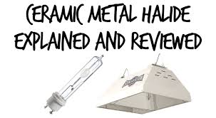 Ceramic Metal Halide Lights Explained What They Are And How To Use Them