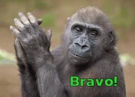 Https Encrypted Tbn0 Gstatic Com Images Q Tbn 3aand9gcqcesbj Pmjvp1mium0eyzqyag9lcduubsfeq Usqp Cau