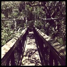 Search for other state parks on the real yellow pages®. Ravine Gardens State Park Palatka Fl