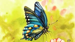 Butterfly watercolor blue illustrations & vectors. Watercolor Blue Butterfly Painting Demonstration Youtube