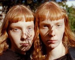 Photographers to Follow and Buy Photos From