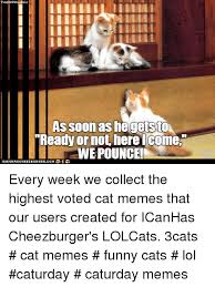 Additional caturday related memes and what is better than your favorite feline than a compendium of caturday memes. 25 Best Memes About Cat Memes Funny Cat Memes Funny Memes
