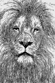 Download this adorable dog printable to delight your child. African Lion Coloring Page Coloring Page Itsostylish Com