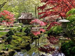 The Japanese Garden Of The Hague Japanese Garden Beautiful Places Garden