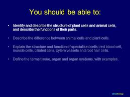 We did not find results for: Cambridge Igcse Biology Extended Level Ppt Video Online Download